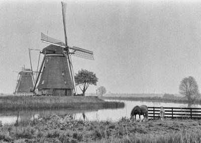 Kinderdijk (NL)